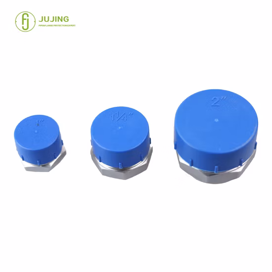Factory Direct Sale Threaded End Cover
